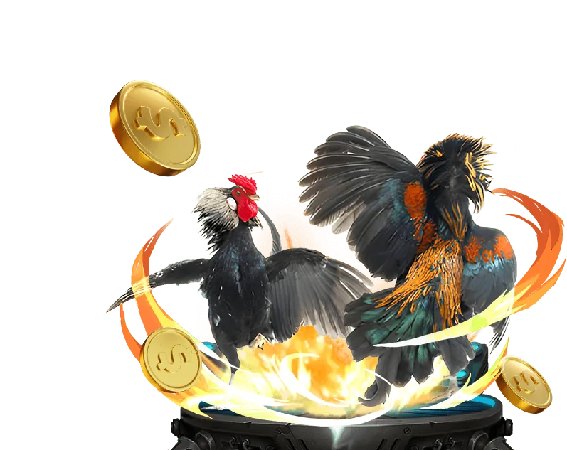 Ưu đãi độc quyền VN66